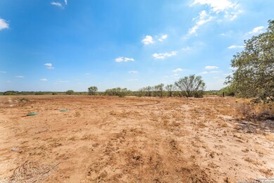 2951 Farm To Market Road 1333, Poteet, TX 78065 - photo 5