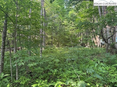 Lot 10 Billy Bob Ln, Creston, NC 28615 - photo 6