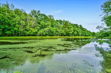 210 Stag Ct S, Bushkill, PA 18324 - photo 5