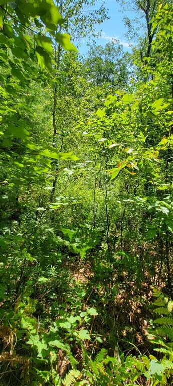 00 Earls Rd unit Lot A, South Berwick, ME 03908 - photo 4