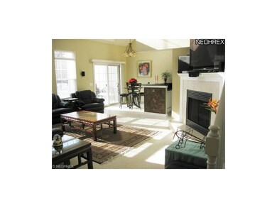 Light Filled Rooms Throughout