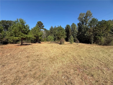 4915 Farm To Market 227, Grapeland, TX 75844 - photo 2