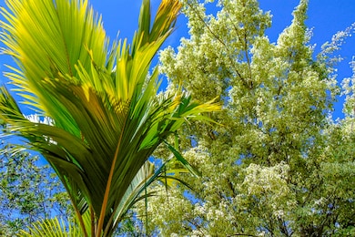 15-2003 3rd Ave, Hawaiian Paradise Park, HI 96749 - photo 5