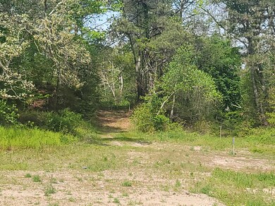 63 N Falmouth Hwy, North Falmouth, MA 2556 - photo 2