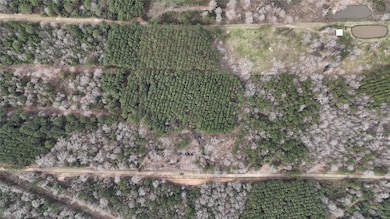 0 County Line Rd unit 15374642, Shepherd, TX 77371 - photo 5