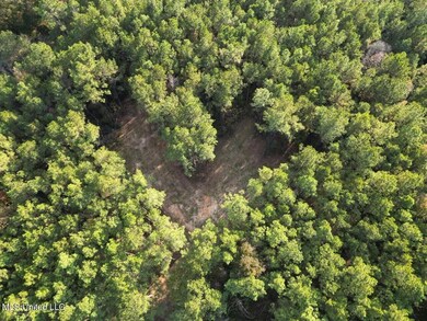 1 N Will Floyd Rd, Crosby, MS 39633 - photo 3