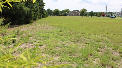 view across the lot