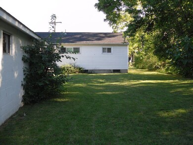 Back Yard 2