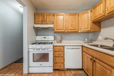 7326 72nd Ln N unit 331, Brooklyn Park, MN 55428 - photo 4