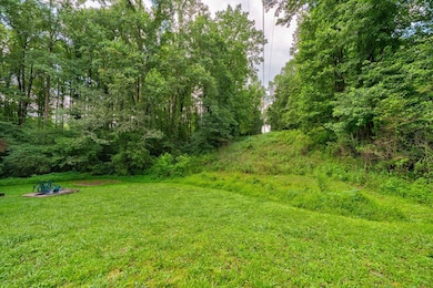 6496 Boardtown Rd, Ellijay, GA 30540 - photo 4