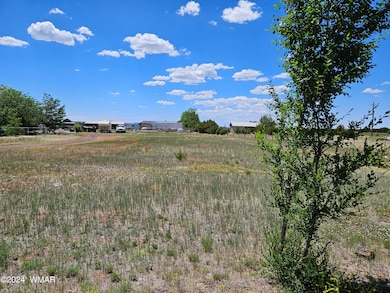 0 N 6th St, Show Low, AZ 85901 - photo 3