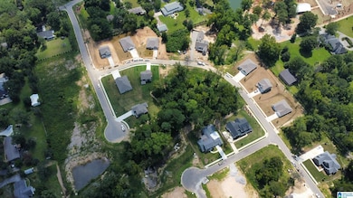 3373 Chandler Way, Hoover, AL 35226 - photo 2