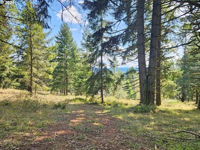 0 Bolton Hill Rd unit S 24559081, Veneta, Or, OR 97487 - photo 5