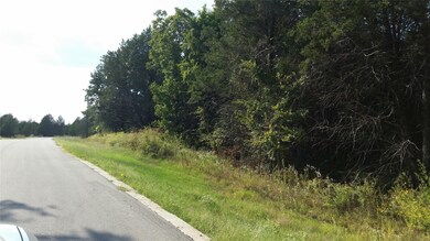 lot 16 Dublin Cir, Gordonville, TX 76245 - photo 2