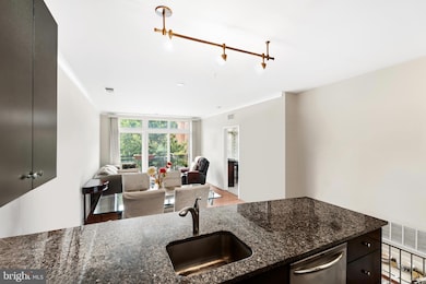 915 N Patrick St unit 206, Alexandria, VA 22314 - photo 5