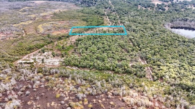 - Pine Log Rd, Chipley, FL 32428 - photo 7