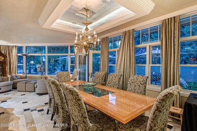 101 W Francis St, Aspen, CO 81611 - photo 5