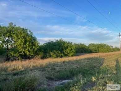 0 Fm 1732 unit 29751290, Olmito, TX 78520 - photo 3