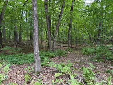 W2373 Blackhawk Rd, Sarona, WI 54870 - photo 6