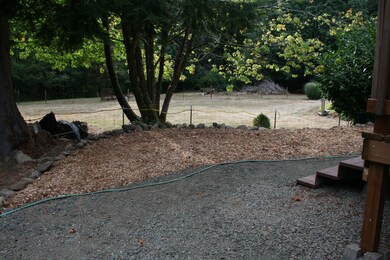 Side/Back Yard