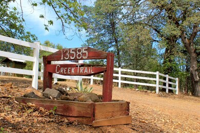 Creek Trail38