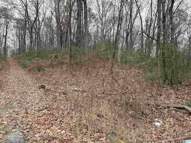 0 Shady Ln, Oxford, AL 36260 - photo 5