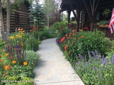 Wildflowers