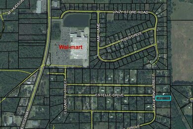 0 Catherine Rd unit 286286, Crawfordville, FL 32327 - photo 4