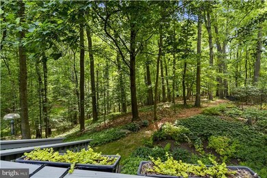 11640 Brandy Hall Ln, North Potomac, MD 20878 - photo 6