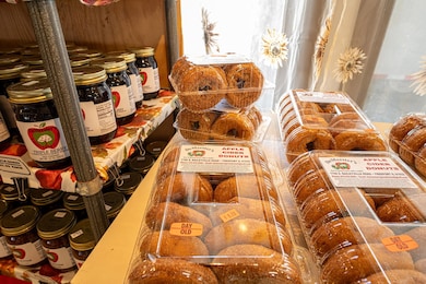 1706 S Baileyville Rd, Freeport, IL 61032 - photo 7