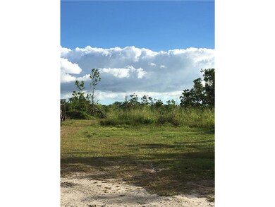 Looking South on mostly cleared property