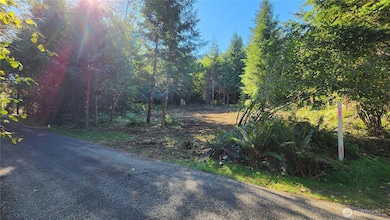 5728 Duane Ln NW, Olympia, WA 98502 - photo 3