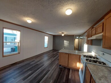 57 Castings Rd unit BV57, Springfield, IL 62707 - photo 4