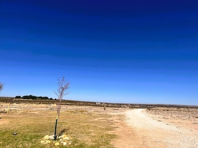 176 U S 67, Fort Stockton, TX 79735 - photo 3