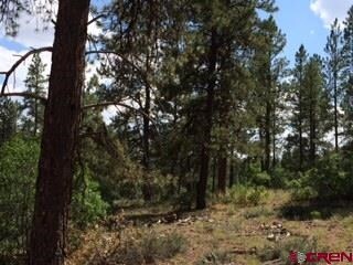 0 Calico Trail unit 702766, Durango, CO 81301 - photo 7