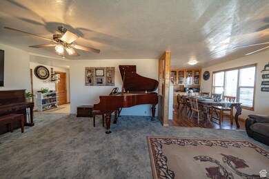 Living area with a ceiling fan, a textured ceiling, and carpet flooring
