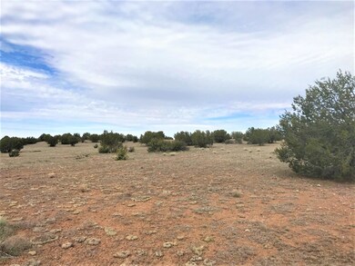 65 Poppy Rd, Ash Fork, AZ 86320 - photo 7