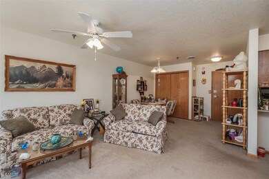 4305 Autumn Ridge Rd unit 217, Cedar Falls, IA 50613 - photo 4