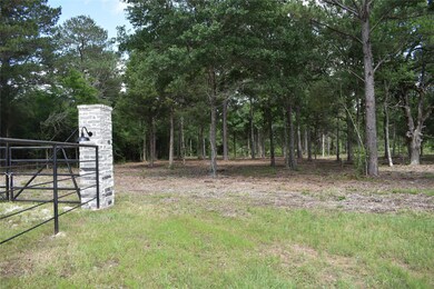 Tract 5 Farm To Market 362, Waller, TX 77484 - photo 4