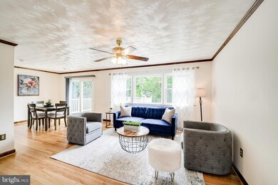 6623 Hulvey Terrace, Alexandria, VA 22306 - photo 3