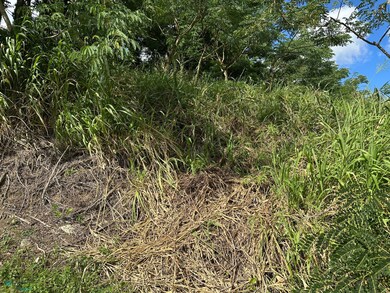 Km 3.9 Carr 189, Gurabo, PR 00778 - photo 3