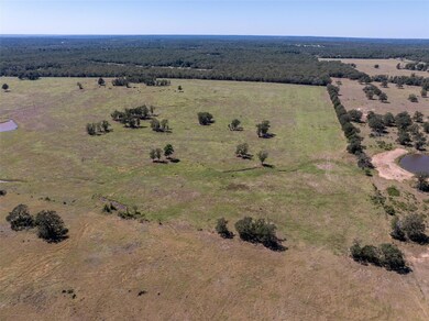 1078 Old Pin Oak Rd unit Tract 1, Paige, TX 78659 - photo 6