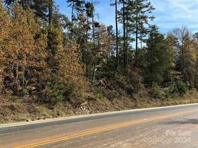 436 Riddle Mill Rd, Clover, SC 29710 - photo 2