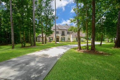 10233 S Autumn Leaf Cir, Magnolia, TX 77354 - photo 2