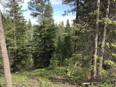 Wooded & Lush