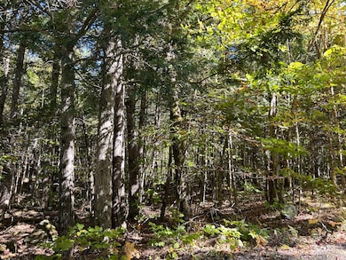 M6L16-12-3 Beaver Brook Rd, Bowerbank, ME 04426 - photo 7