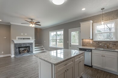 Kitchen and Family Room