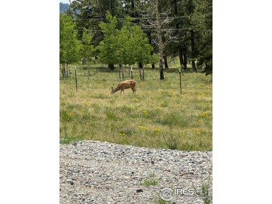 2841 Singletree Rd, Hartsel, CO 80449 - photo 5