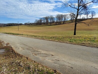 5.65 Acres Morgan Rd, Rutledge, TN 37861 - photo 5