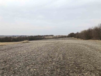 35.07 Ac Elmer Rd, Brooklyn, WI 53521 - photo 2